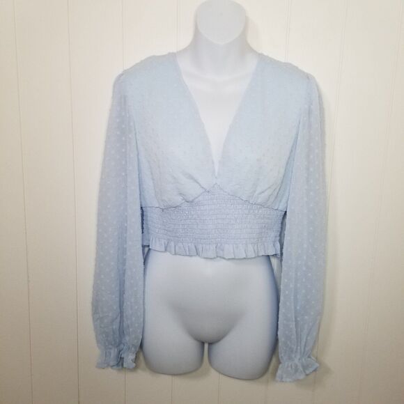 Women's Cropped Blue Sheer Balloon Sleeve Top - Picture 1 of 8